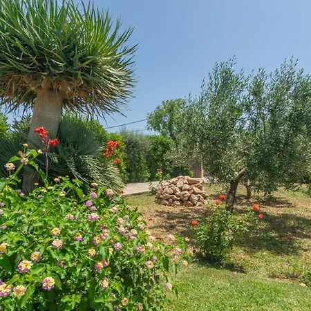 Ca'n Coll Villa